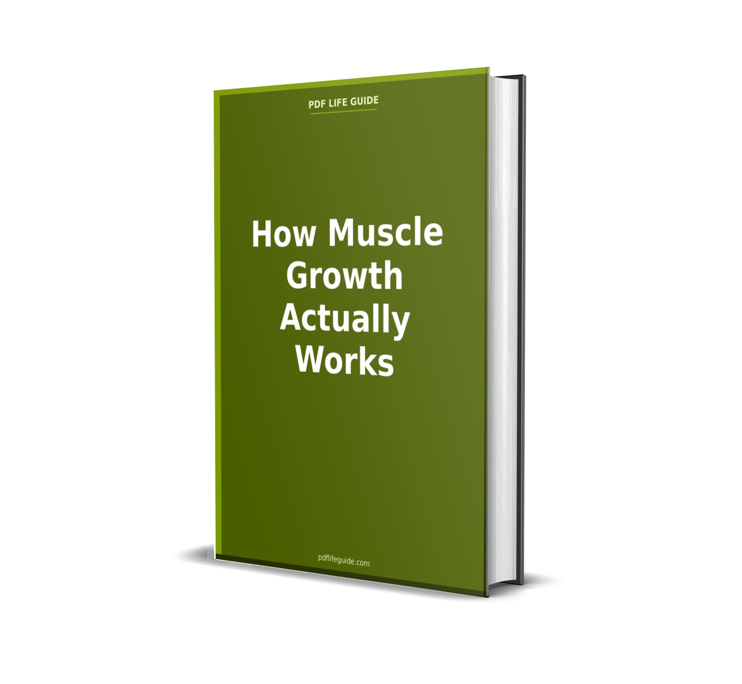 How Muscle Growth Actually Works